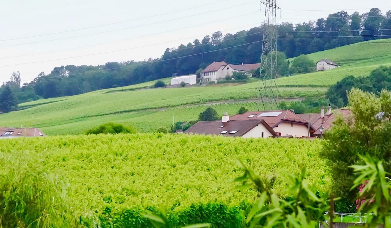 Luins Cave Du Treyblanc B&B 외부 사진