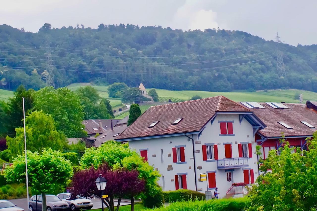 Luins Cave Du Treyblanc B&B 외부 사진